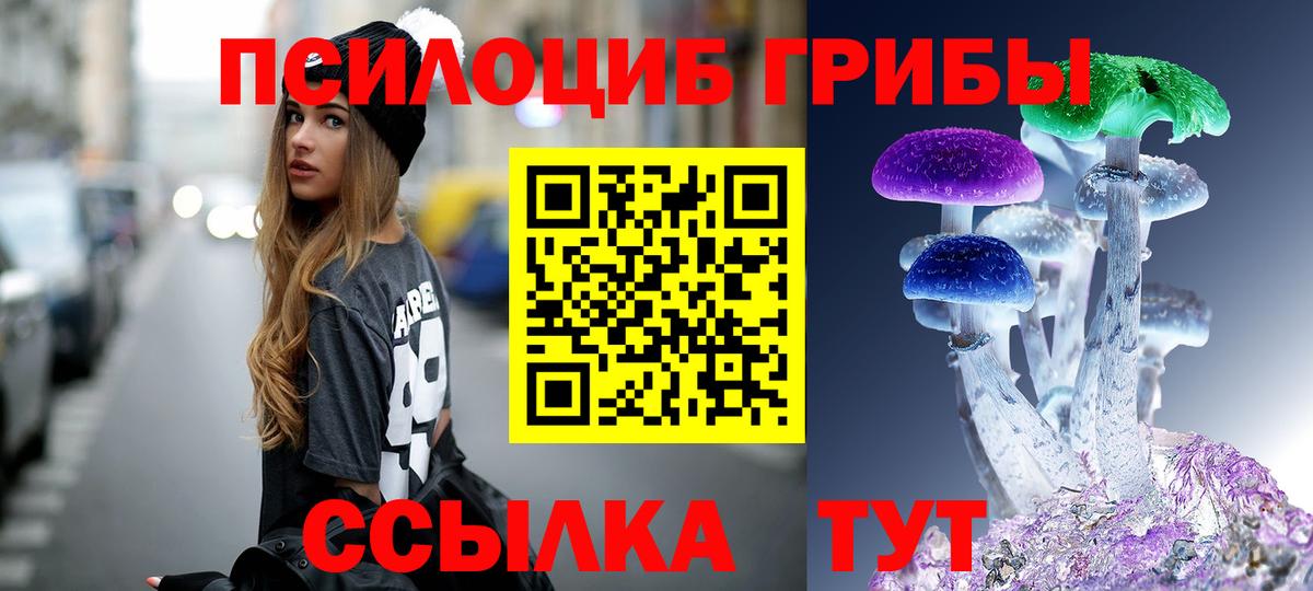 Полысаево  Галлюциногенные грибы Cubensis  Вход с VPN 
